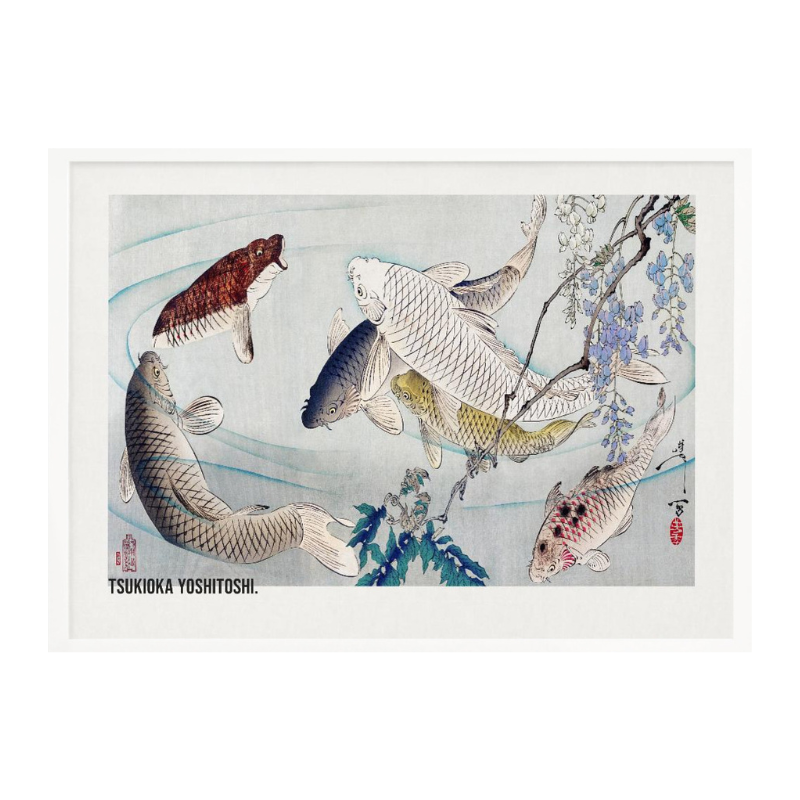 Cuadro "Six Carp Swimming Beneath Wisteria (1889)"