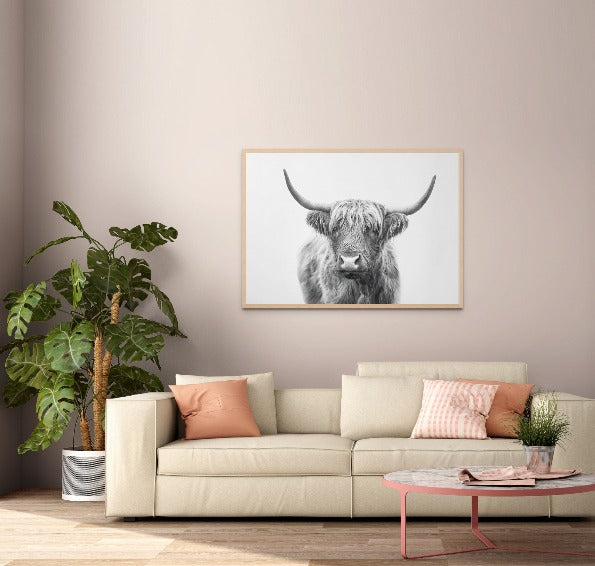 Highland Bull Art Print