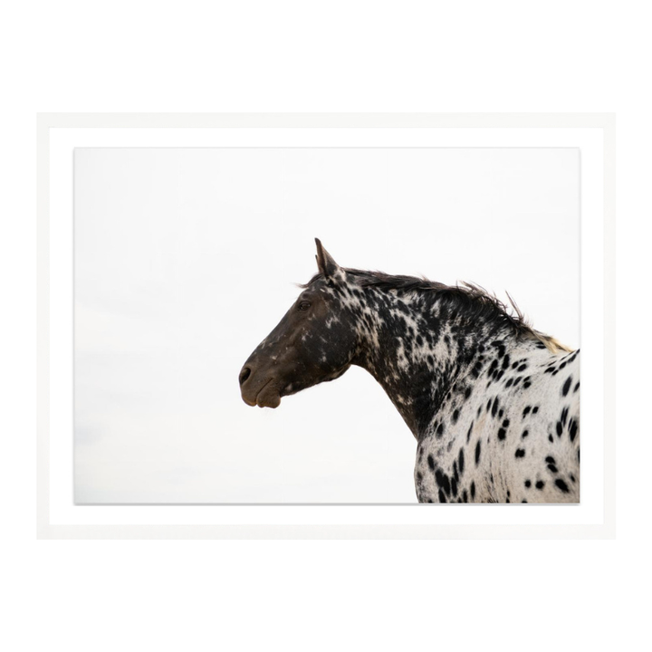 Cuadro "Andromeda 4"