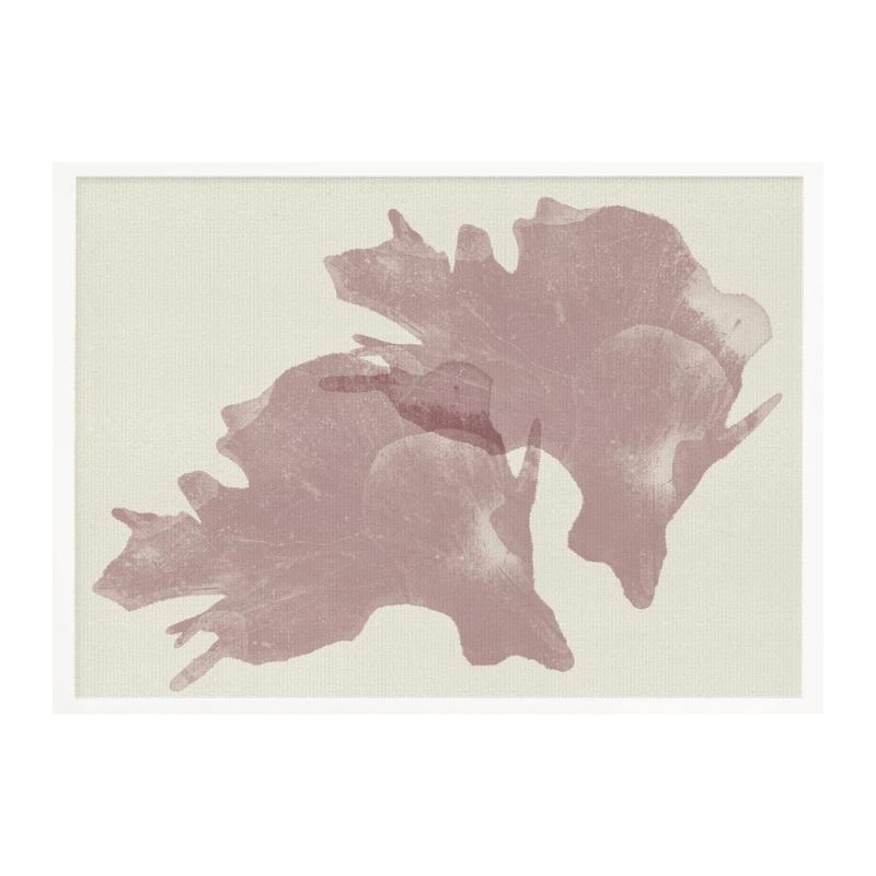 Cuadro "Ethereal Organic Shapes"