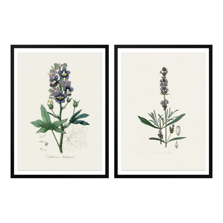 Set "Arte Herbarium I" Art Prints