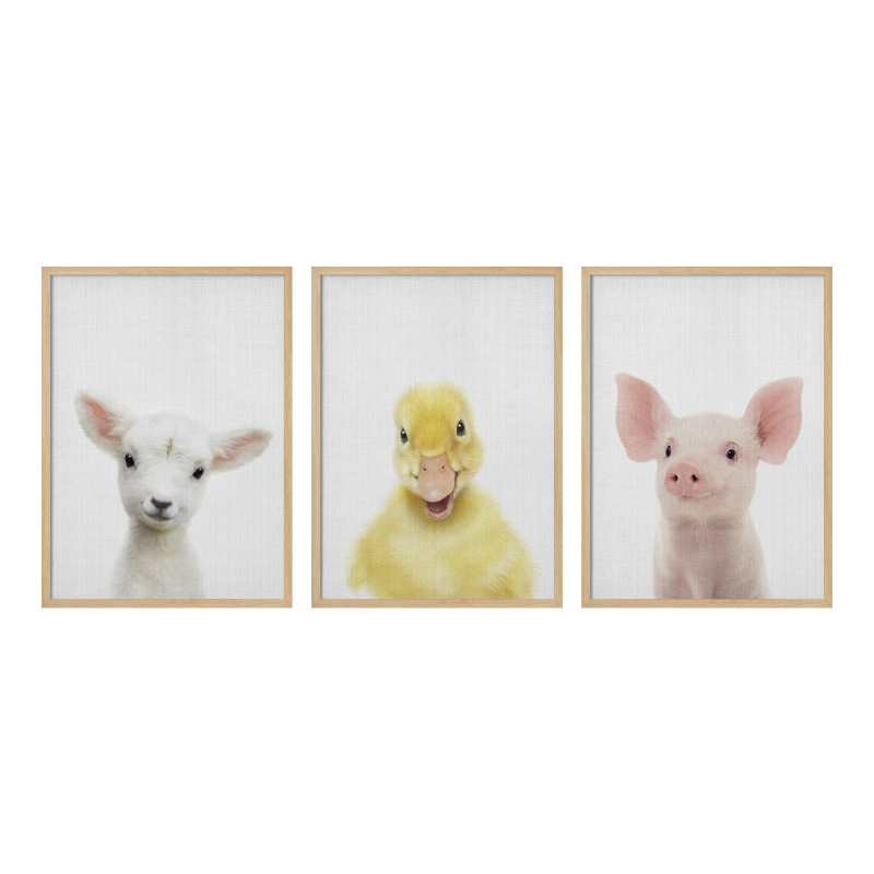 Set de cuadros "Farmyard Cuties"