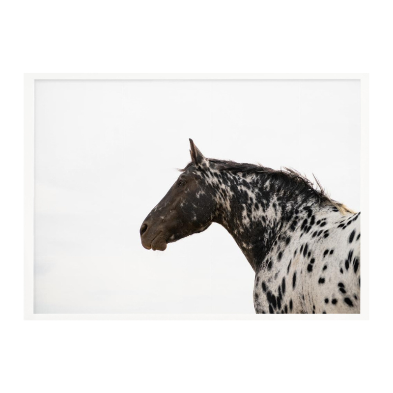 Cuadro "Andromeda 4"