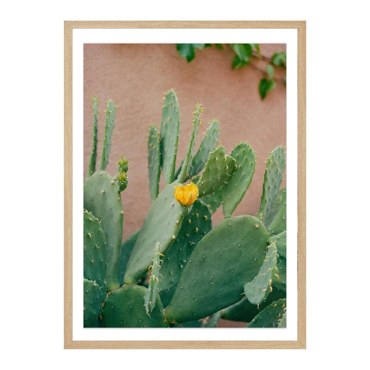 Cactus Art Print