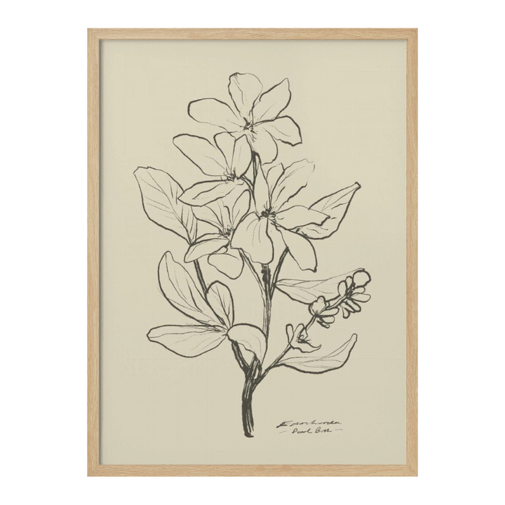 Floral 1 Art Print