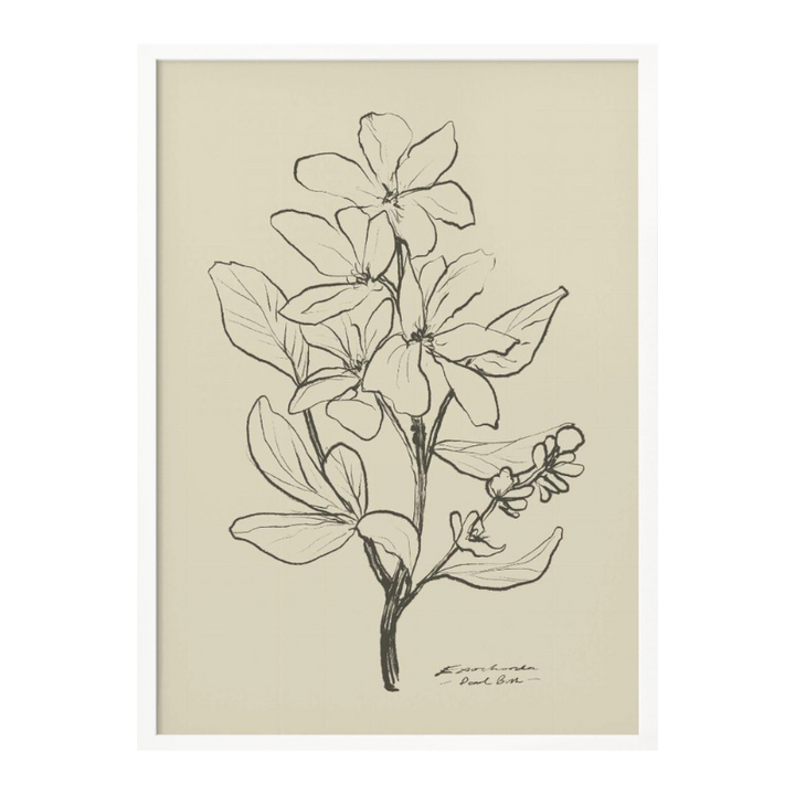 Floral 1 Art Print