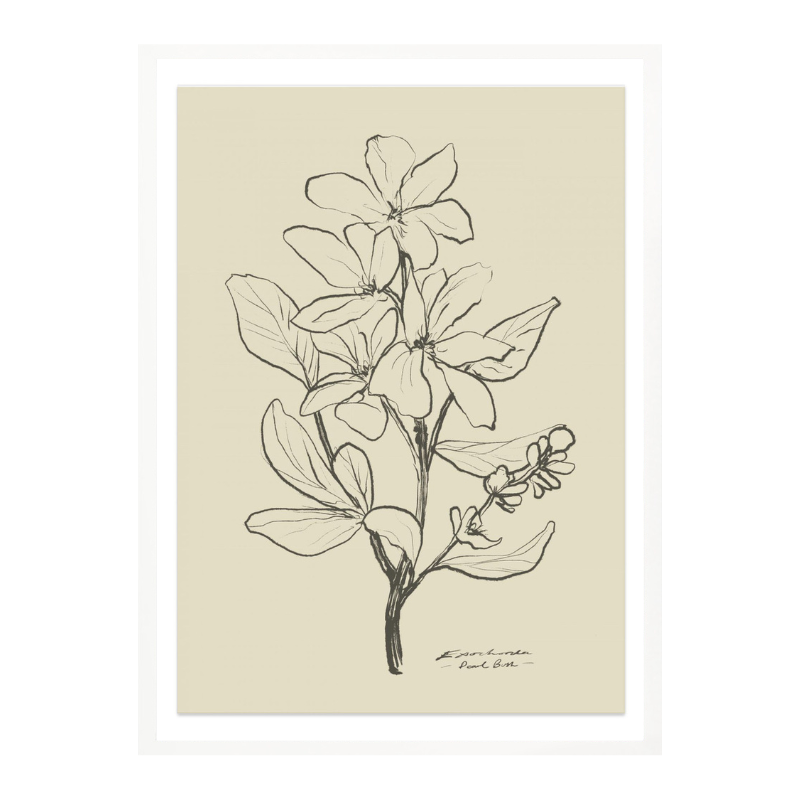 Floral 1 Art Print