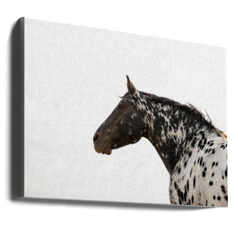 Cuadro "Andromeda 4"