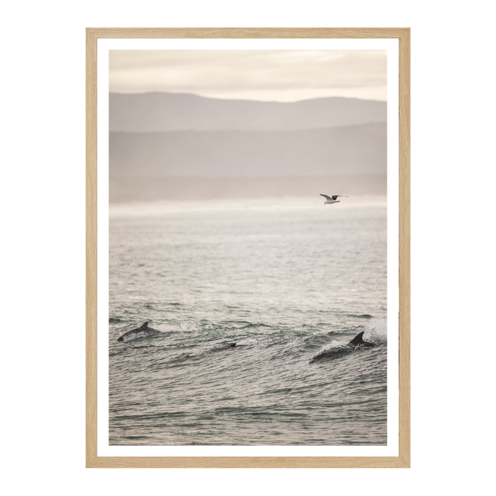 Cuadro "Ocean's Dance"