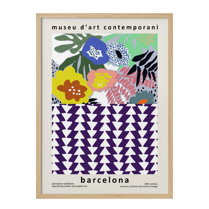 Cuadro "Museu D'art Contemporani Barcelona"