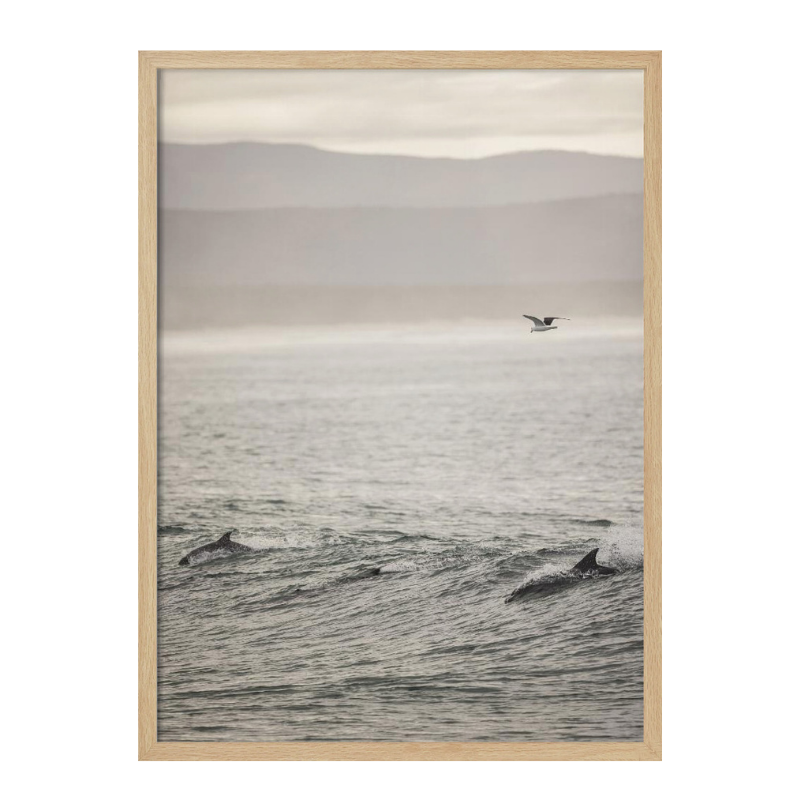 Cuadro "Ocean's Dance"