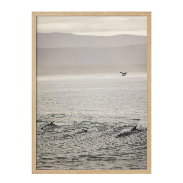 Cuadro "Ocean's Dance"