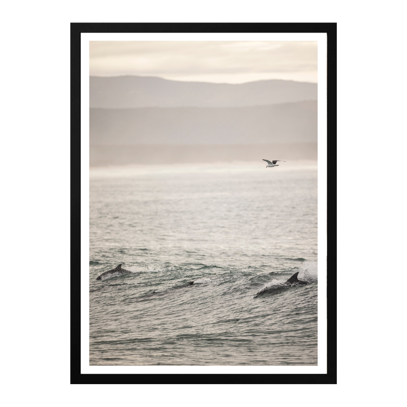 Cuadro "Ocean's Dance"