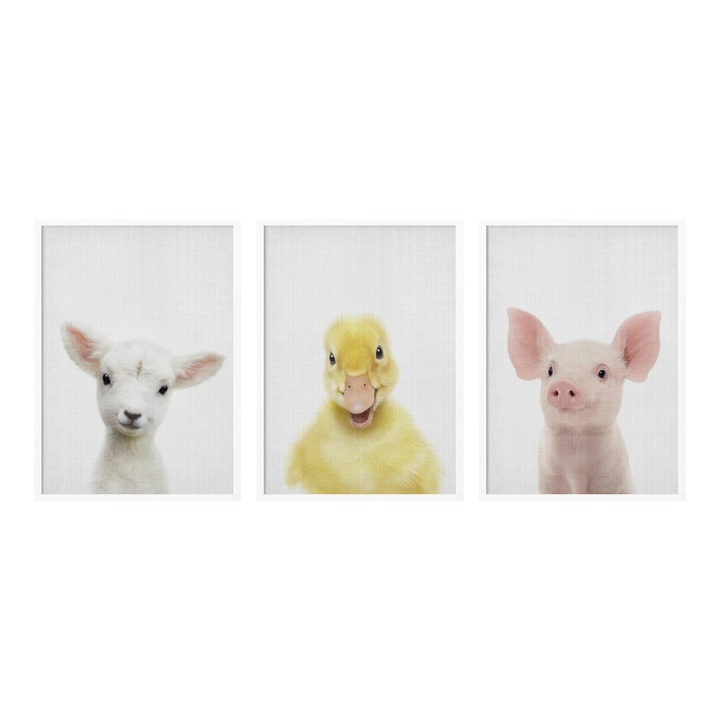 Set de cuadros "Farmyard Cuties"