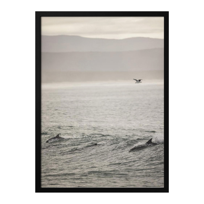 Cuadro "Ocean's Dance"