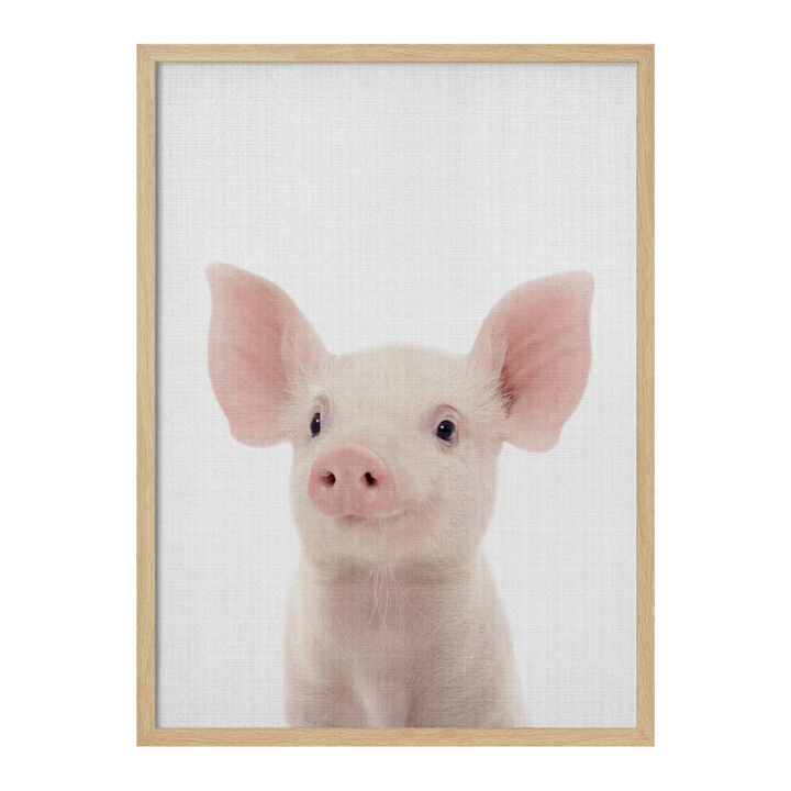 Peekaboo Baby Pig Art Print