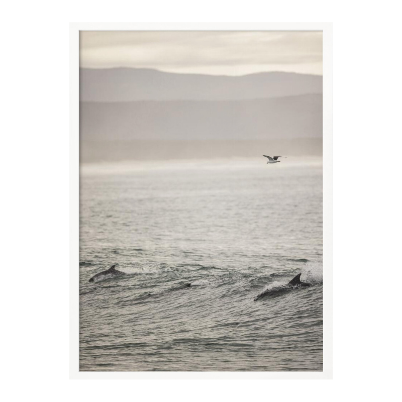 Cuadro "Ocean's Dance"