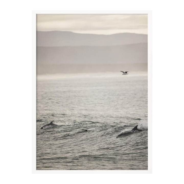 Cuadro "Ocean's Dance"