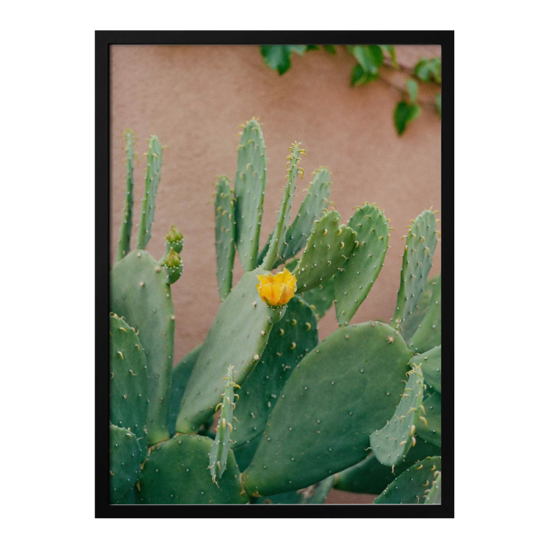 Cactus Art Print