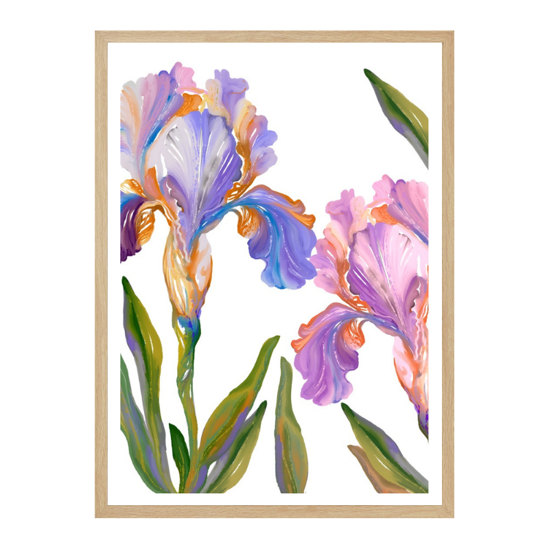 Cuadro "Colorful Iris Blooms"