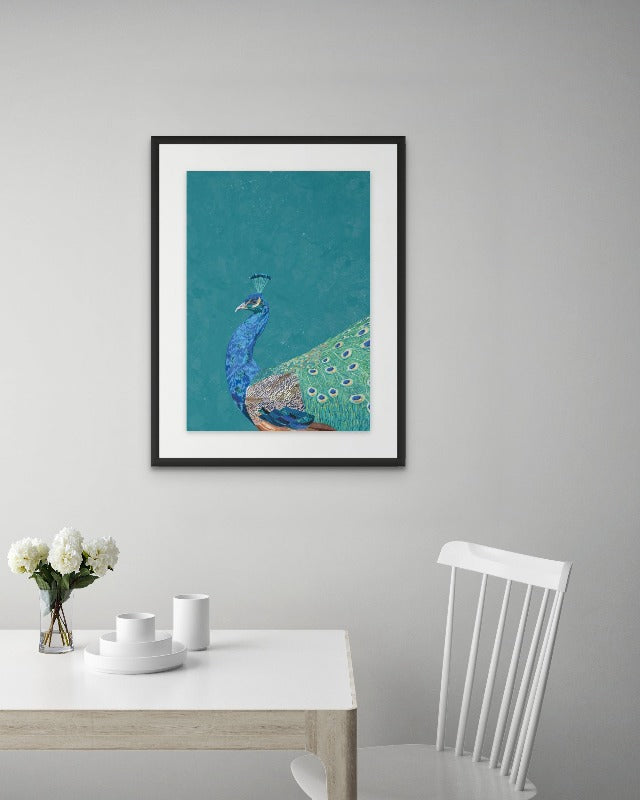 Turquoise peacock Art Print