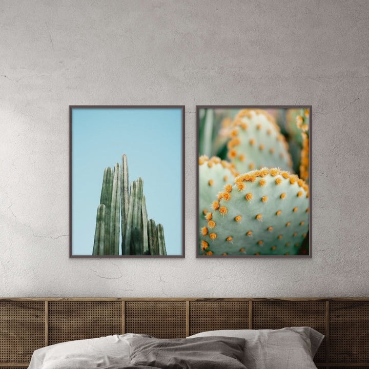 Set "Orange and Green II - Marrakech botanical photography" + "Cacti" Art Prints