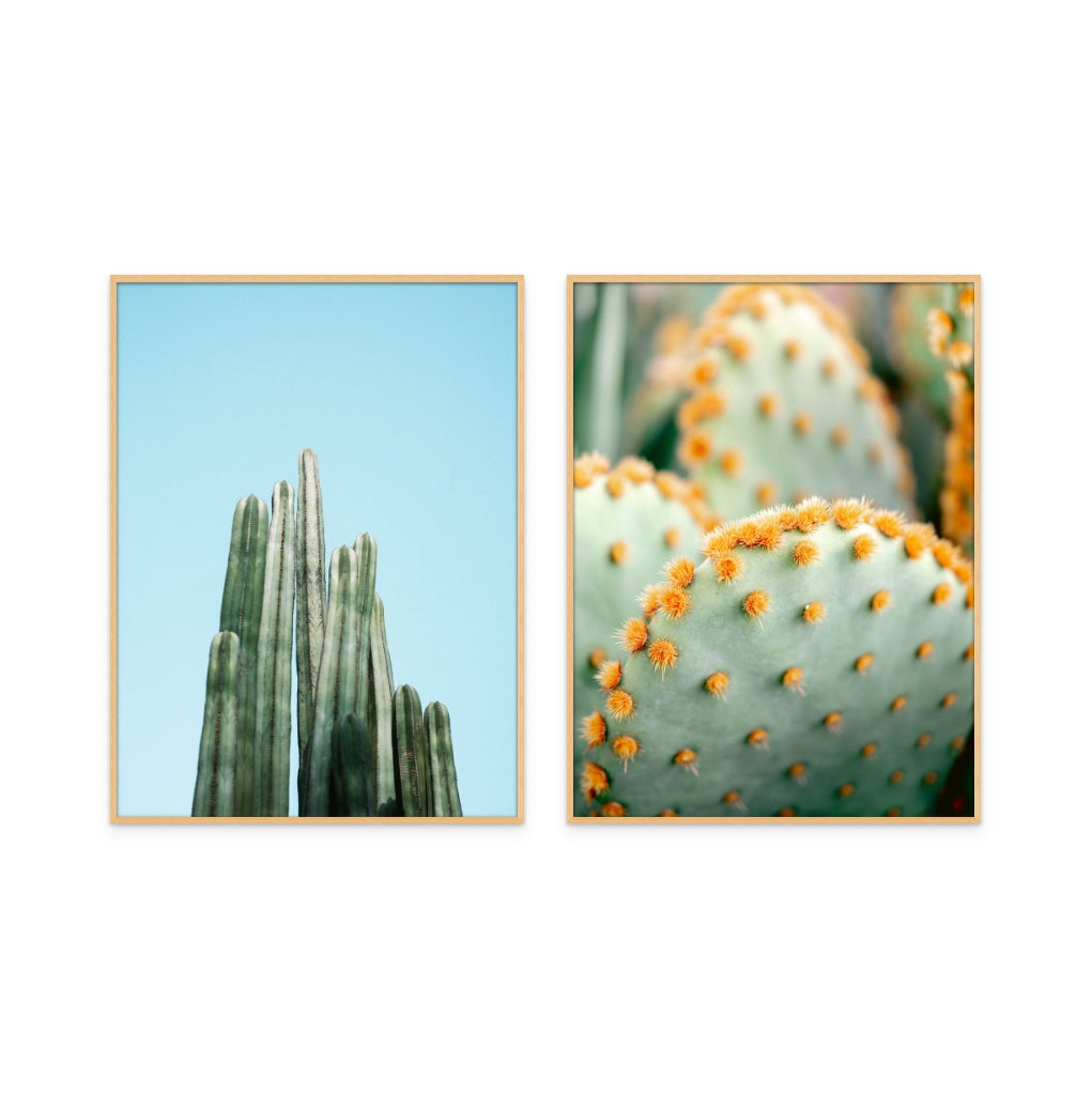 Set "Orange and Green II - Marrakech botanical photography" + "Cacti" Art Prints