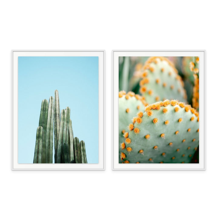 Set "Orange and Green II - Marrakech botanical photography" + "Cacti" Art Prints