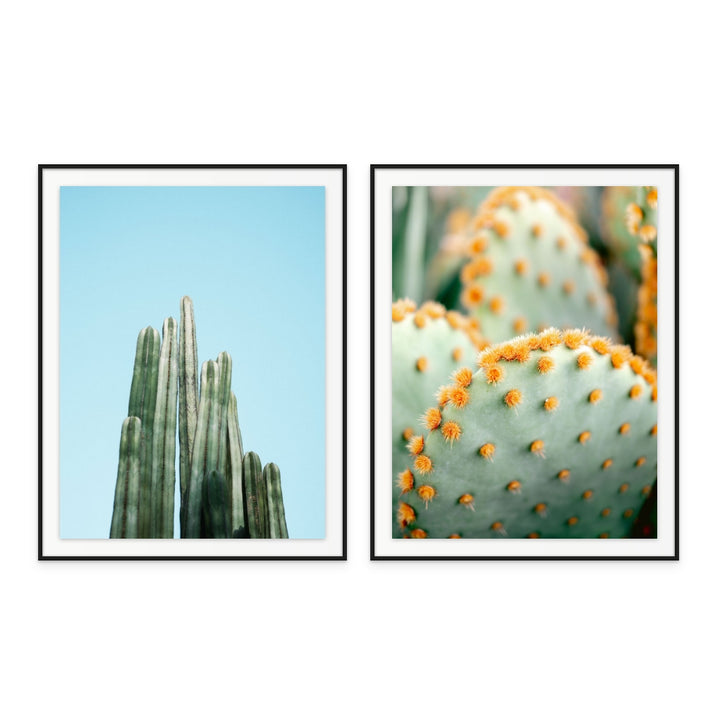 Set "Orange and Green II - Marrakech botanical photography" + "Cacti" Art Prints