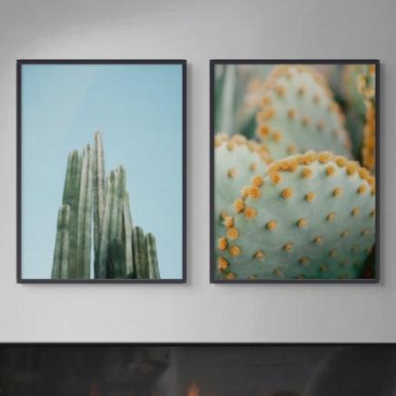 Set "Orange and Green II - Marrakech botanical photography" + "Cacti" Art Prints