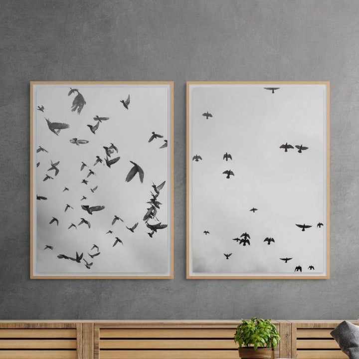 Set "Flight a Freedom" Art Prints