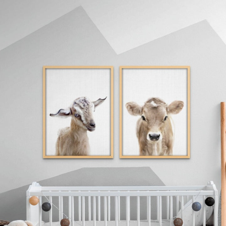 Peekaboo Baby Goat Art Print