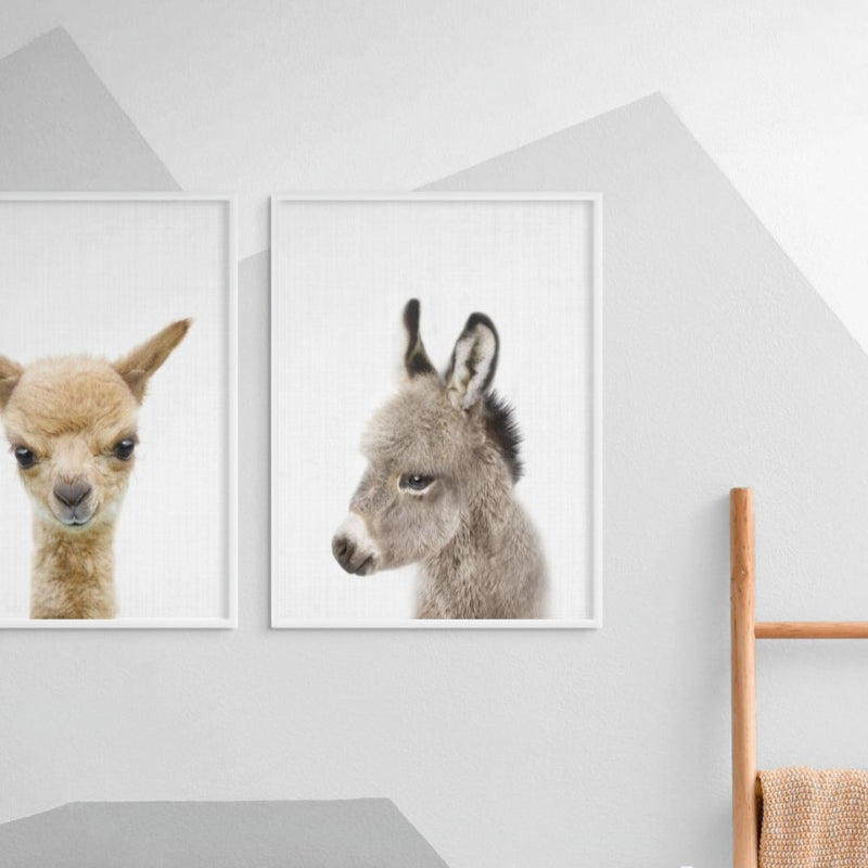 Peekaboo Baby Donkey Art Print