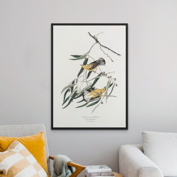 Prothonotary Warbler From Birds of America (1827) Art Print