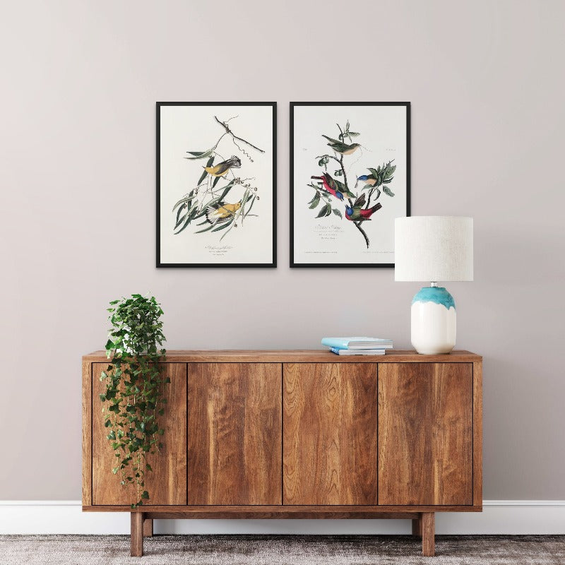 Set "Painted Finch From Birds of America (1827)" + "Prothonotary Warbler From Birds of America (1827)" Art Prints