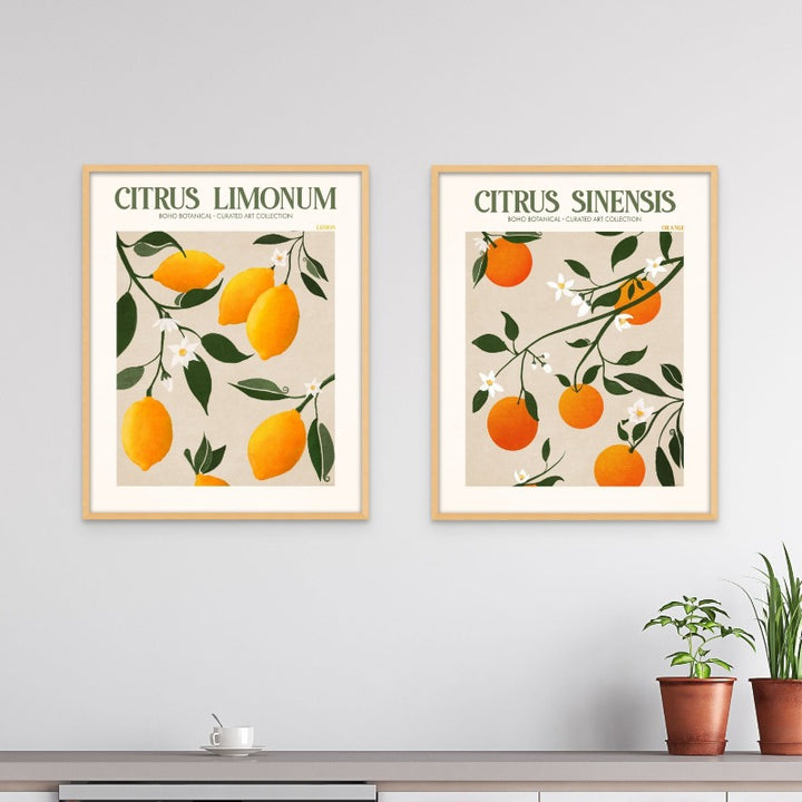 Set "Citrus" Art Prints