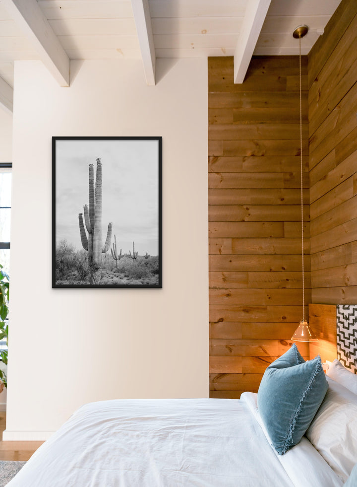 Saguaro BaW Art Print