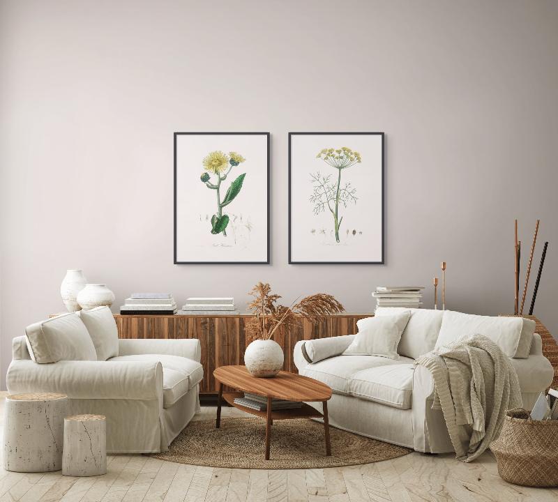 Set "Arte Herbarium II" Art Prints