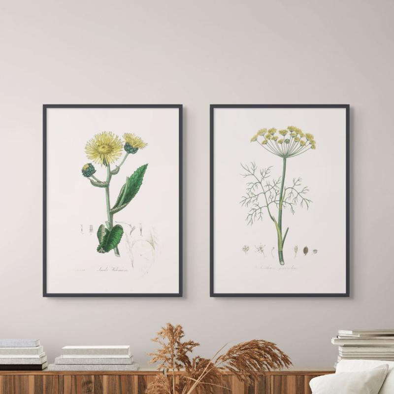 Set "Arte Herbarium II" Art Prints