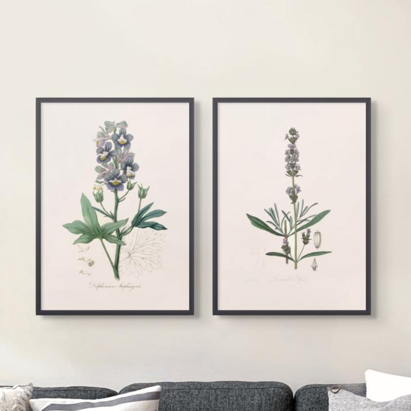 Set "Arte Herbarium I" Art Prints