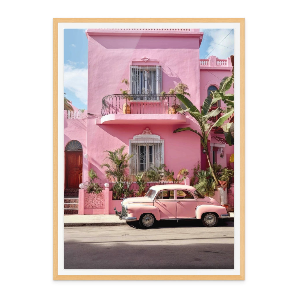 Encanto Rosa en Oaxaca Art Print