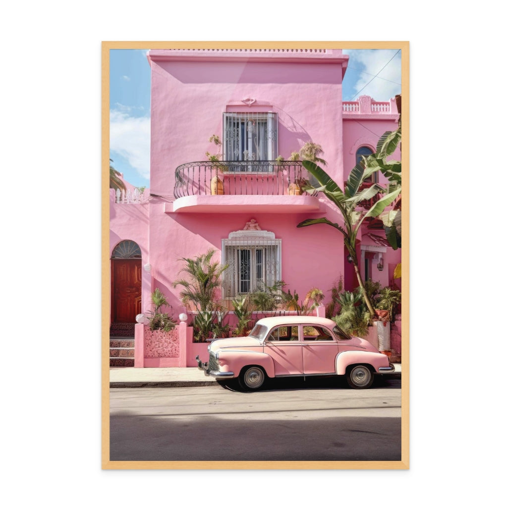 Encanto Rosa en Oaxaca Art Print