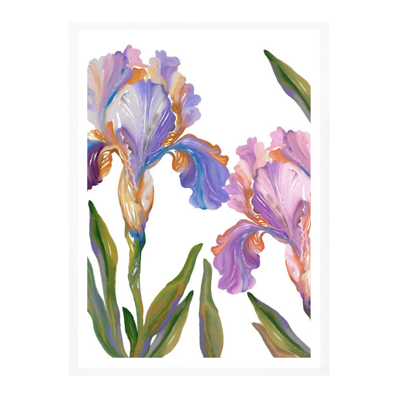 Cuadro "Colorful Iris Blooms"
