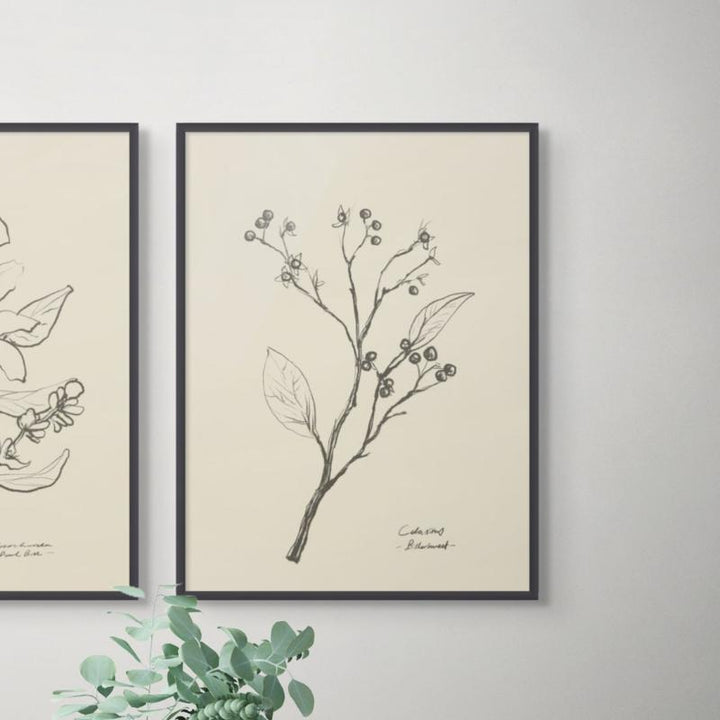 Floral 2 Art Print