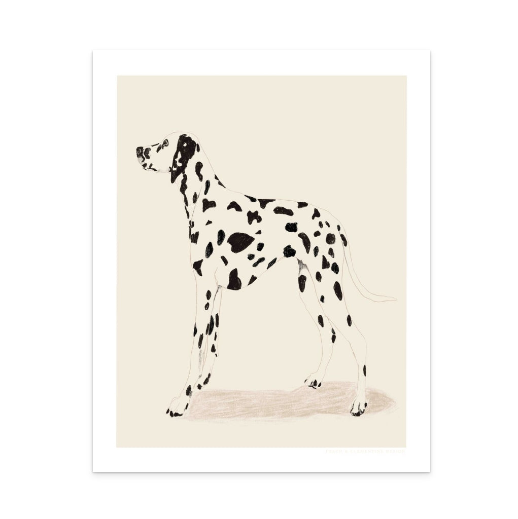 Pandc Dalmation Art Print