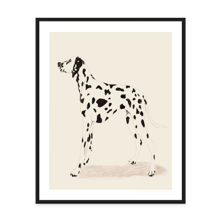 Pandc Dalmation Art Print