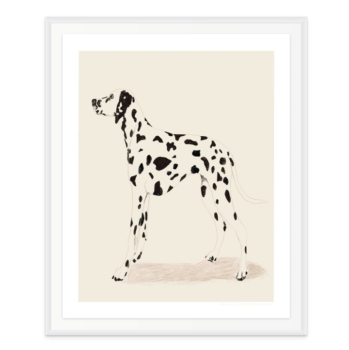 Pandc Dalmation Art Print