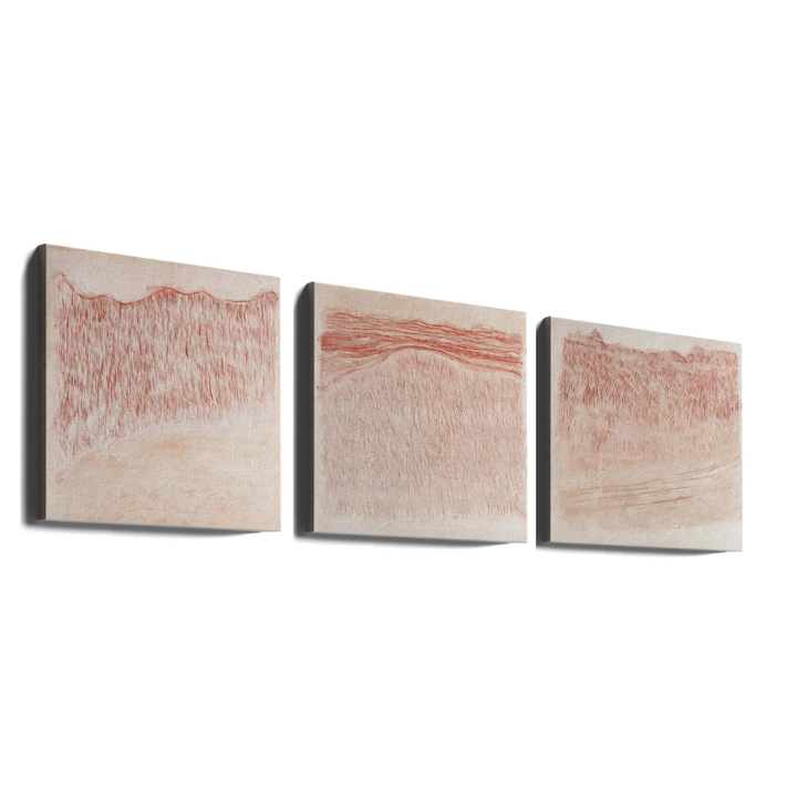 Set de cuadros "Soft Terracotta Textures"