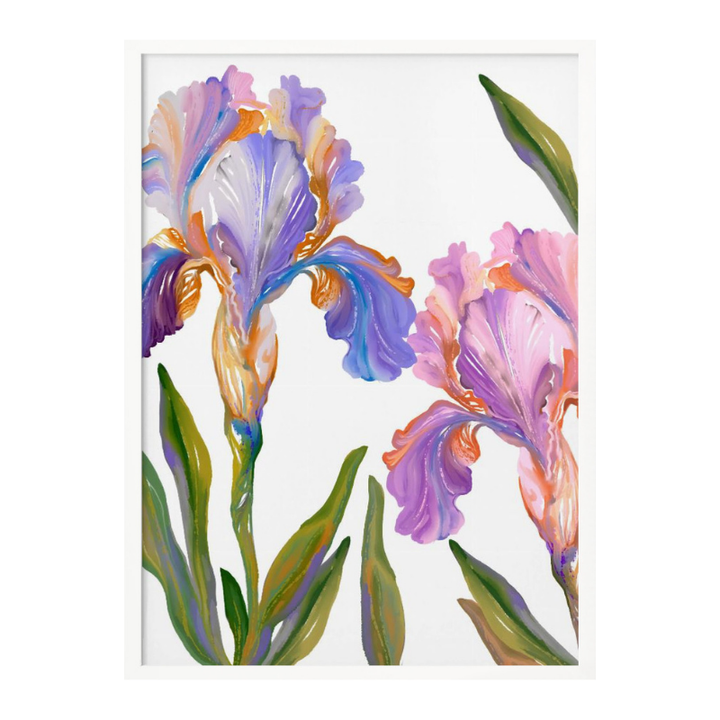 Cuadro "Colorful Iris Blooms"