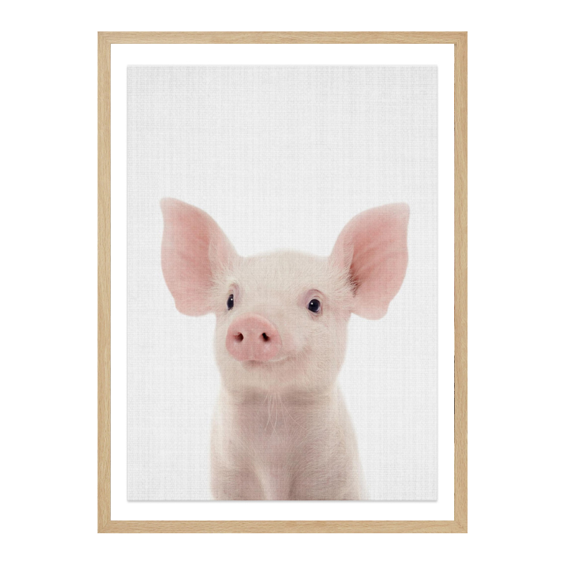 Peekaboo Baby Pig Art Print